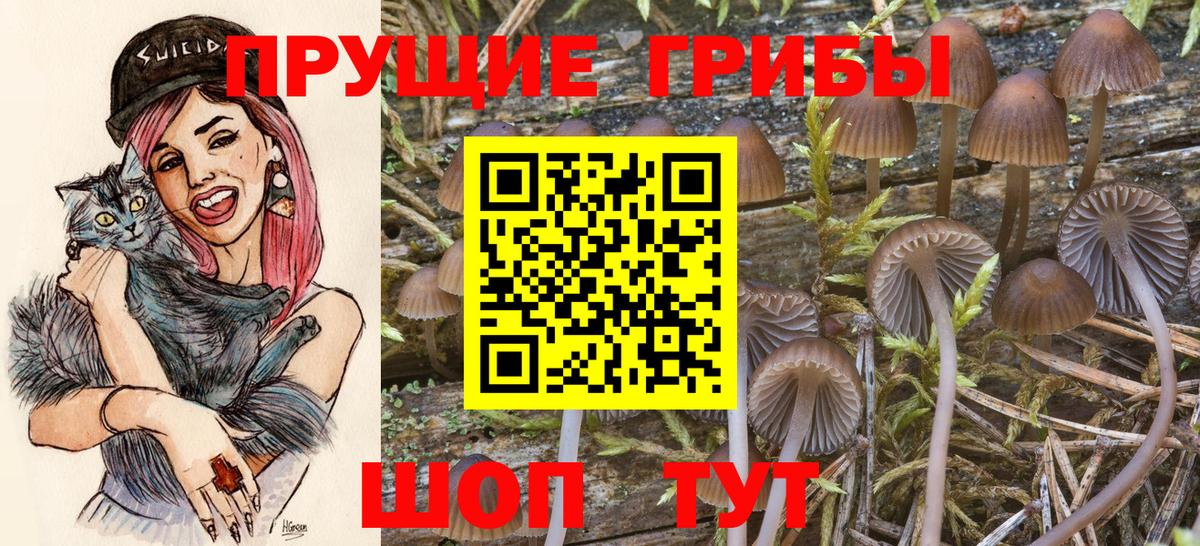 Барабинск  Псилоцибиновые грибы Psilocybine cubensis  где можно купить наркотик  Вход с VPN  Псилоцибиновые грибы GOLDEN TEACHER 